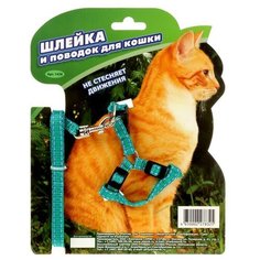 Зооник Комплект «Зооник» шлейка с поводком для кошек, 1.5 м на блистере, стропа 10 мм, микс