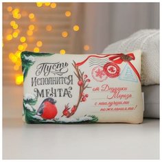 Mni mnu Подушка-антистресс «Пусть исполнится мечта!», 25х15 см