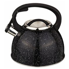 Чайник со свистком 2,5л НЖС цвет декора меняет при нагревании 907-044907-045/// ТБ10974 Agness