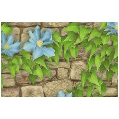 Обои Брянск Клематис 08 0,53х10м