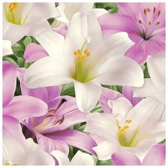 Обои Пермь Лилии 1035-03 0,53х10м