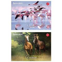 Альбом для рисования, А4, 32 листа, скоба, обложка картон, BRAUBERG, 200х283 мм, "Живая природа" (2 вида), 103683