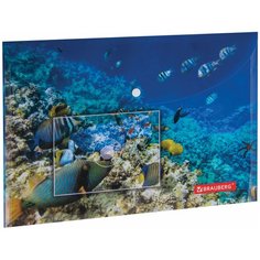 Папка-конверт с кнопкой BRAUBERG "SEA WORLD", А4, 160 мкм, до 100 листов, цветная печать, 228041