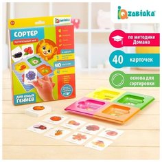 IQ-ZABIAKA Сортер «Растительный мир» с карточками Домана