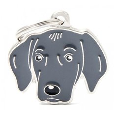 Адресник на ошейник My Family Colors Friends Веймаранер серый/серебристый