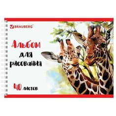 Альбом BRAUBERG Жирафы 29 х 20.5 см, 100 г/м², 40 л.
