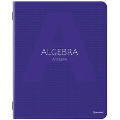 Тетрадь предметная COLOR 48 листов, матовая ламинация, лак, 70 г/м2, алгебра, клетка, подсказ, BRAUBERG, 403978