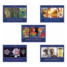 Альбом для рисования А4 40 л., скоба, обложка картон, HATBER, 205х290 мм, "Я рисую мой мир", 40А4В