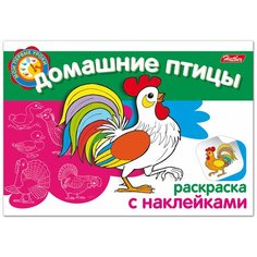 Книжка-раскраска А5, 4 л., HATBER с наклейками, Мои первые уроки, "Домашние птицы", 4Р5н 05825, R002699