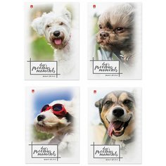 Блокнот А7, 40 л., скоба, ламинированный картон, клетка, Альт, "Щеночки", (4 вида), 3-40-107