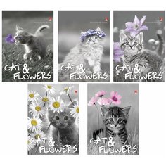 Блокнот А6, 40 л., гребень, ламинированный картон, клетка, Альт, "Котята", (5 видов), 3-40-028