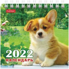 Календарь-домик настольный на гребне, 2022г 101х101мм, "Четыре с хвостиком", HATBER, 12КД6гр_24222