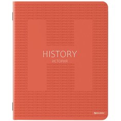 Тетрадь предметная COLOR 48 листов, матовая ламинация, лак, 70 г/м2, история, клетка, подсказ, BRAUBERG, 403985