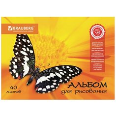 Альбом для рисования, А4, 40 листов, скоба, выборочный лак, BRAUBERG, 202х285 мм, "Летняя феерия" (1 вид), 103434