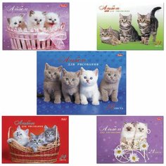 Альбом для рисования, А4, 24 листа, спираль, обложка картон, HATBER, 205х300 мм, "Милые котята", 24А4Всп, A075449