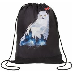 Мешок для обуви пифагор, 1 отделение, 42х34 см, "White Owl", 270182