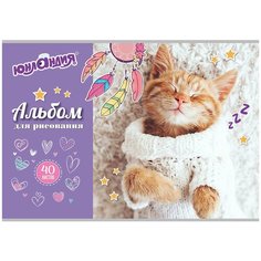Альбом для рисования, А4, 40 листов, скоба, обложка картон, юнландия, 202х285 мм, "Кот в свитере" (1 вид), 105091