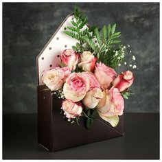 Переноска складная "Конверт", цвет коричневый, 31 х 41 х 8 см 3841219 Сима ленд