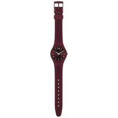 Наручные часы swatch GZ259S