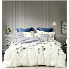 Постельное белье 1,5-спальное Tango (Танго) TPIG4-1037 КОД1050, Сатин (Твил), 50x70 и 70x70