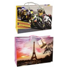 Пакет подарочный бумажный 30x21x9см Veld-co "Men", ламинированный, 12шт. (31601/43337)