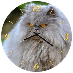 SvS Настенные часы SvS 3002050 Серьезный кот СВС