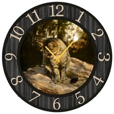 Настенные часы SvS 3502211 СВС