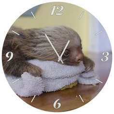 Настенные часы SvS 3001845 СВС