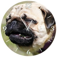 Настенные часы SvS 3001875 СВС