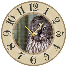 SvS Настенные часы SvS 3002230 Сова СВС