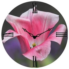 Настенные часы SvS 3503192 СВС