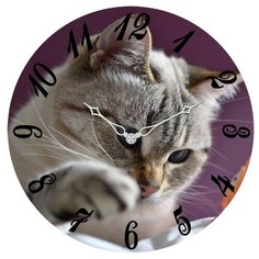 Настенные часы SvS 3003198 СВС