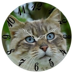 Настенные часы SvS 4003200 СВС