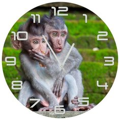 Настенные часы SvS 3002517 СВС