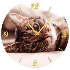 SvS Настенные часы SvS 3001869 Лежащий кот СВС