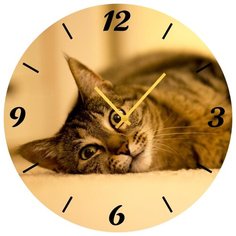 Настенные часы SvS 4001867 СВС