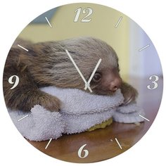 Настенные часы SvS 4001845 СВС