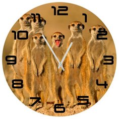 Настенные часы SvS 4002501 СВС