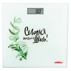 Весы электронные ARESA AR-4413 (рисунок)