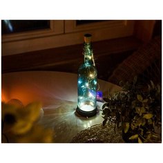 Садовая гирлянда для бутылки на солнечной батарее роса, 8 тёплых белых LED-огней, 75 см, Kaemingk