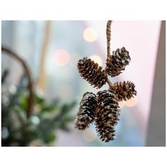 Гирлянда-подвеска еловые шишки с ледяной крошкой, подвеска, 20 см, Kaemingk