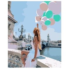 Картина по номерам Colibri 40*50см, холст на подрамнике, VA-2249