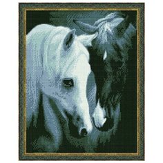 Алмазная мозаика Paintboy Черное и белое 40х50 см