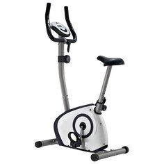 Велотренажеры Royal Fitness Велотренажер магнитный Royal Fitness RFIB-13