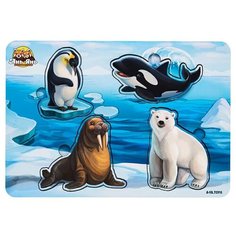 Развивающие игрушки Ань Янь