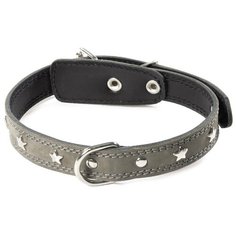 Ошейник кожаный Милитари, 25мм*500мм, Гамма Triol