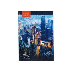 Бизнес-блокнот Проф-пресс Огни мегаполиса А4 120 листов синяя в клетку на склейке (205x300 мм) 2 шт.