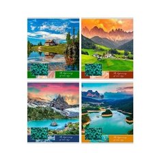 Тетрадь общая Проф-пресс Дивный вид А5 96 листов в линейку на скрепке (обложка в ассортименте) 6 шт.