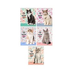 Тетрадь общая Проф-пресс Жизнь с котом А5 48 листов в линейку на скрепке (обложка в ассортименте) 10 шт.