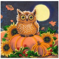 ABRIS ART Набор для вышивания бисером Ночной гость 15 х 15 см (AM-190)